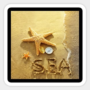 Ocean Starfishes on Beach Sticker